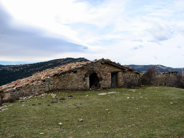 Senderismo - Puntasa - Cascadas - Cuevas y Árboles