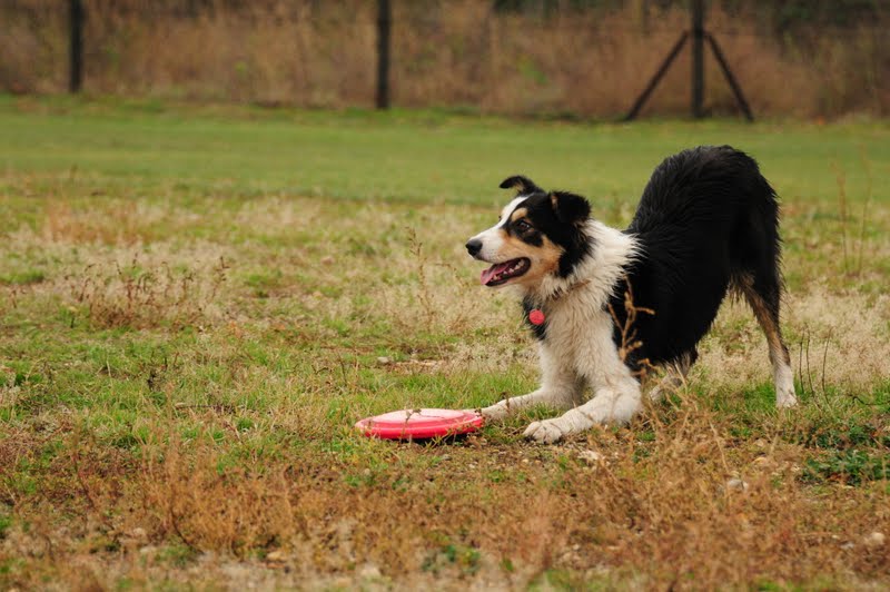 DSC_0966.JPG