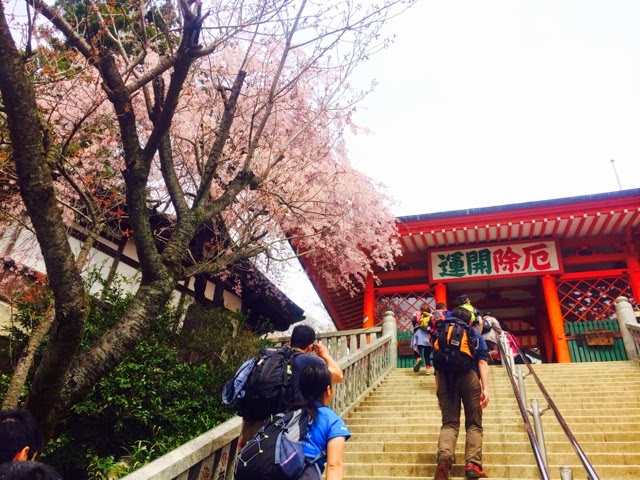 Sakura viewing (花見) at Mount Takao