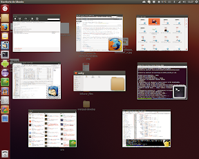 Personaliza y configura Ubuntu y Unity con Mechanig