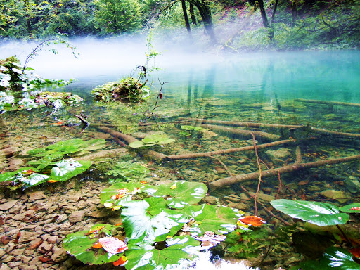 Nacionalni park Risnjak
