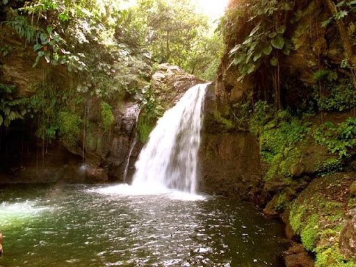 ANSE CARAIBE PLONGEE