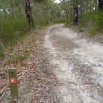 Walking along the ridge trail south of Brooklyn (351325)