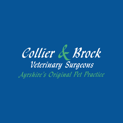 Collier and Brock Vets, Ayr