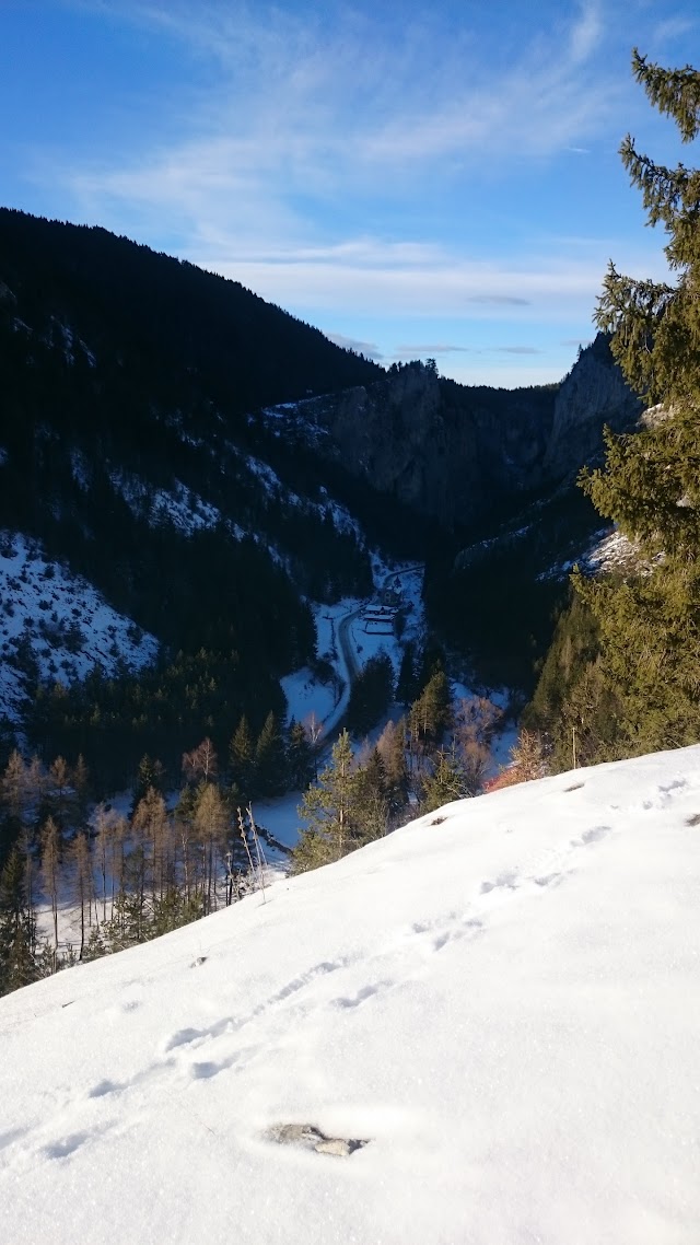 Trigradskoto Zhdrelo