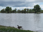 Contra Loma Reservoir