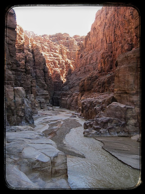 Senderismo en Petra y Wadi Rum - Blogs de Jordania - Excursión por la reserva de Dana (4)