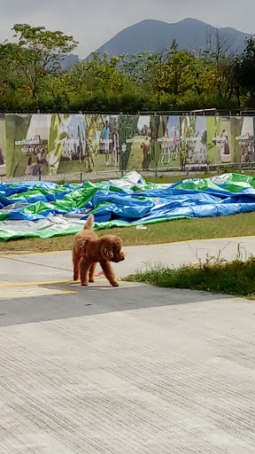 Nursery Park, West Kowloon