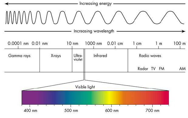 Light - Determining the Wavelength of Light - EricaBrauerMasters