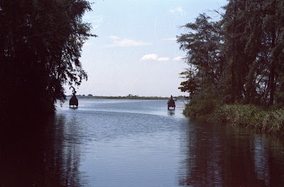 Photos of Villa Guama