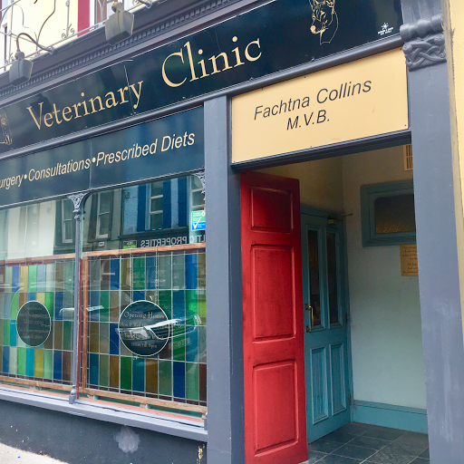 The Veterinary Clinic Bantry