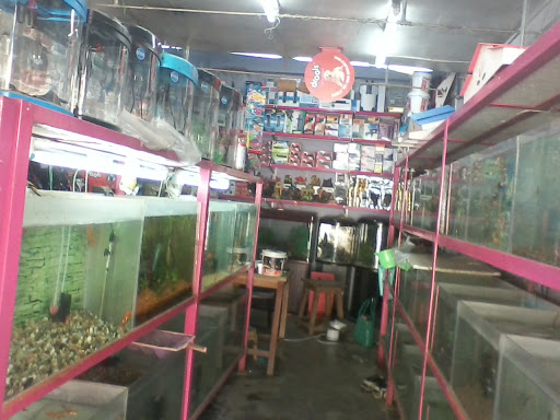 Bhuvana Aquarium & Pets, New No. 361, Old No. Near Manis Theatre, Hope Collage, 424, Kamarajar Rd, Chitra Nagar, Hope College, Peelamedu, Coimbatore, Tamil Nadu 641004, India, Pet_Shop, state TN