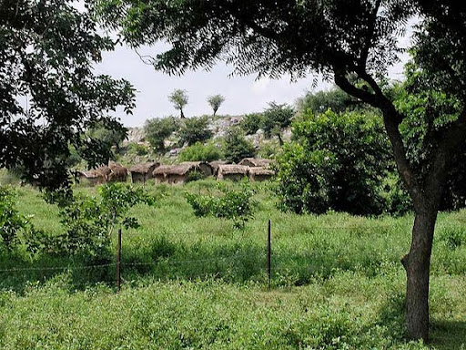 Холм Говардхан