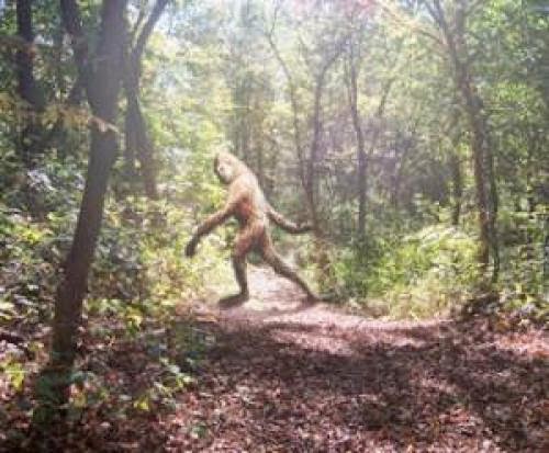 China Bigfoot Leaves Big Footprints In Cornfield