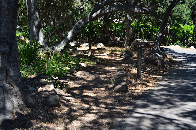 signs point to the trail beside the road