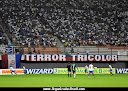 TORCIDA UNIFORMIZADA TERROR TRICOLOR