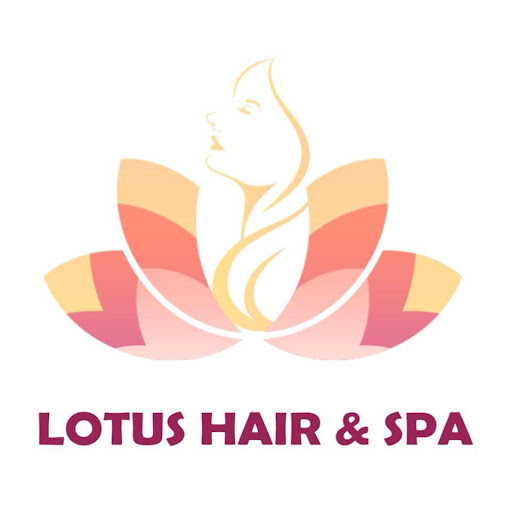 Lotus Hair and Spa Ltd logo