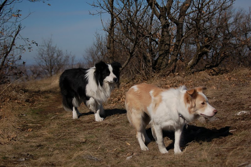 DSC_5905.JPG