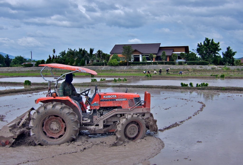Rice%2520Farming%2520%2520007.jpg