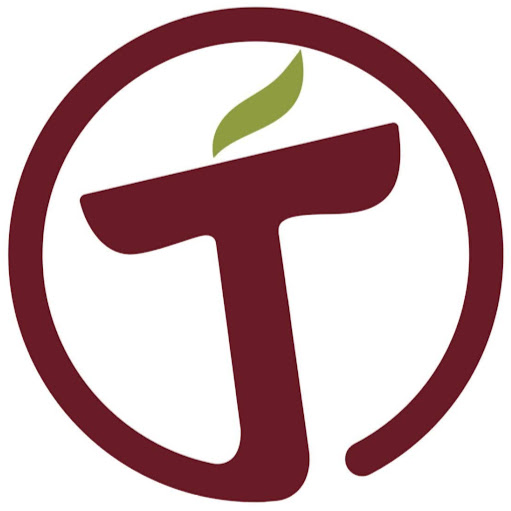 Tegamino's logo