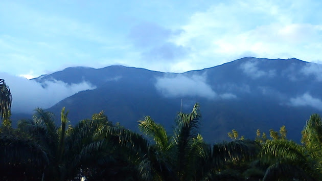 Cover photo
