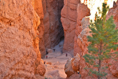 De Bryce Canyon a Las Vegas: Entre Hoodoos anda el juego. - COSTA OESTE USA 2012 (California, Nevada, Utah y Arizona). (6)
