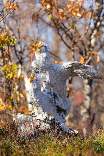 Stone Seagull in Norway. Photographer Benny Høynes