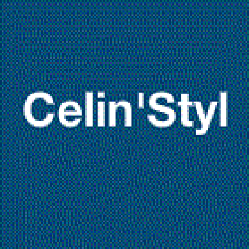 Celin'Styl logo