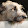 Charles Finberg Charles Finberg's profile photo