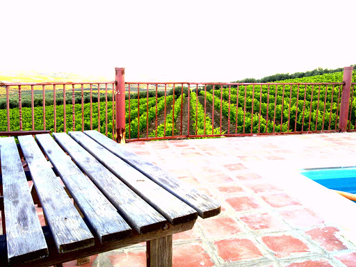 Main image of Marenas Viñedo y Bodega