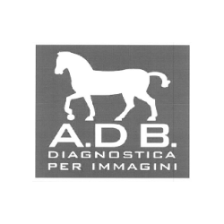 Di Bello Studio Radiologico logo