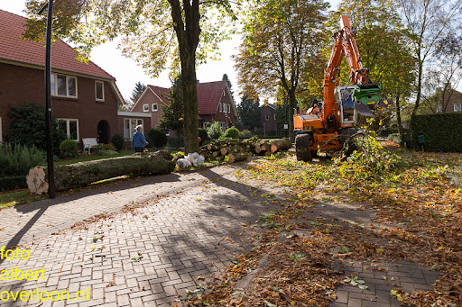 Bomen gekapt Museumlaan in overloon 20-10-2014 (34).jpg