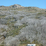 White Rivers Hut from Shlinck Trail (286452)