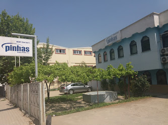 Hayim Pinhas