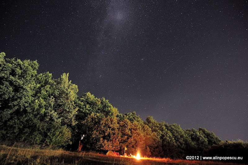 Alin Popescu Photography