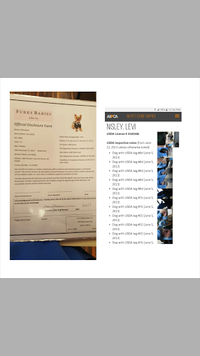 Pet Store «Furry Babies Inc», reviews and photos, 3340 Mall Loop Dr, Joliet, IL 60431, USA