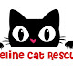 LiFeline Cat Rescue and Network Inc