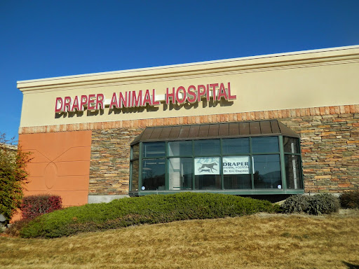 Animal Hospital «Draper Animal Hospital», reviews and photos