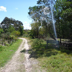 Trail close to Nerang Rd Terrey Hills (305708)