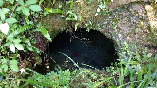 Cascade Pétrifiante
