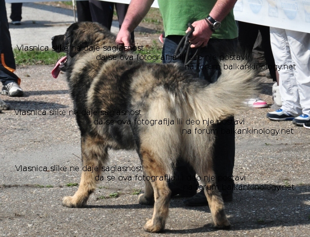 DSC_0065ww.JPG