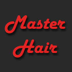 Master Hair logo