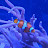 Sam R avatar image