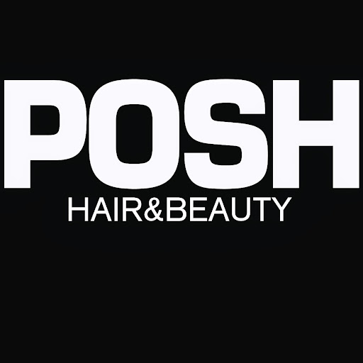 Posh hair and beauty logo