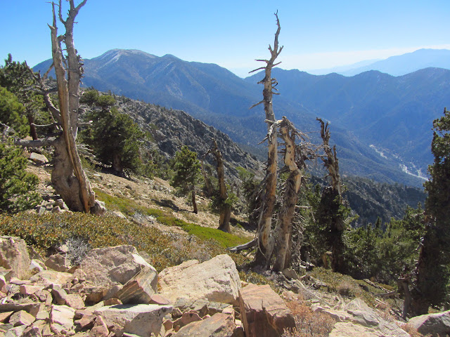 Forest Falls below and the mountain far to the side