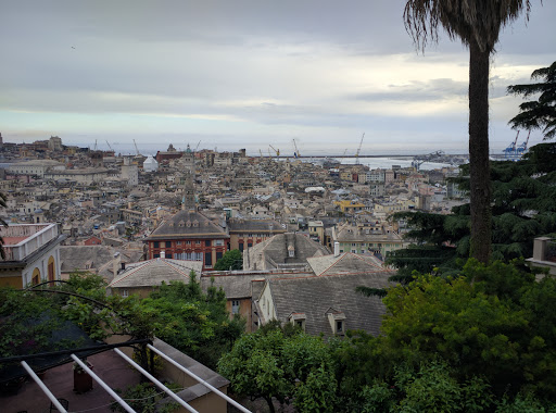 Landscape from Righi (Funicolare)
