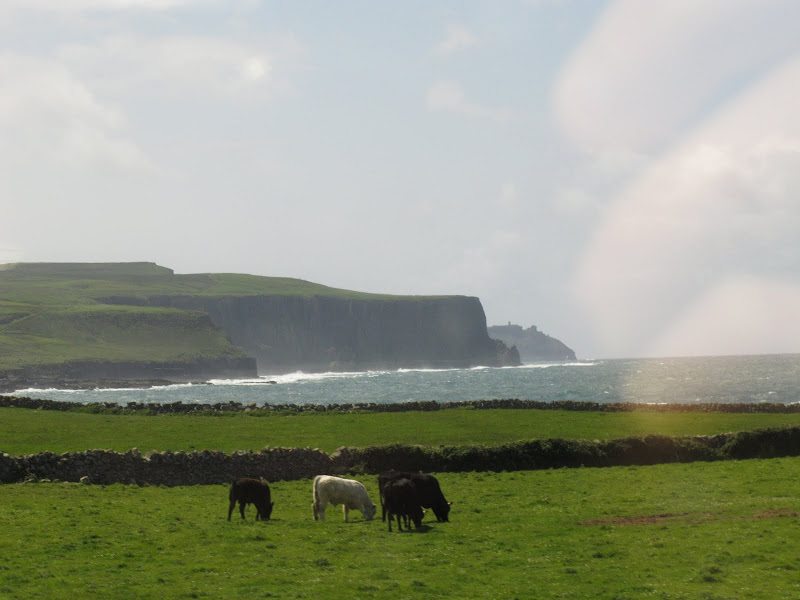Западная Ирландия - The Cliffs of Moher