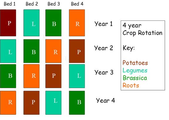 4 Bed Crop Rotation Chart