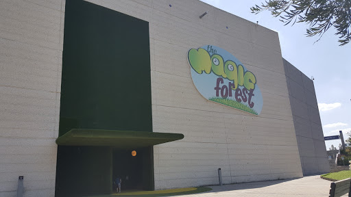 The Magic Forest