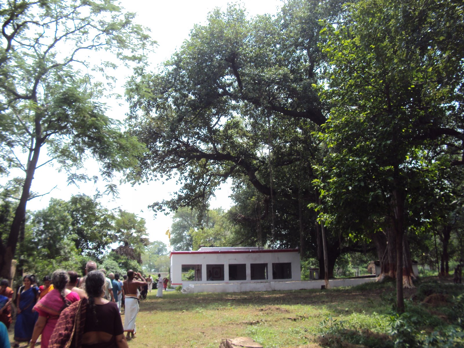 Siddha Ashram